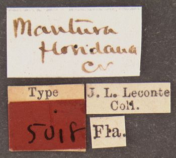 Media type: image;   Entomology 5018 Aspect: labels